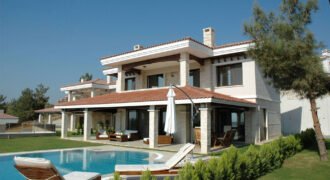 Apricot West Britford Arch